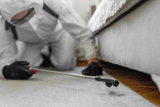Professional Cockroach Control technician working in Copper Canyon, TX